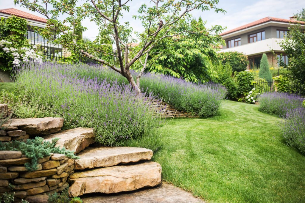 beau_jardin_de_maison